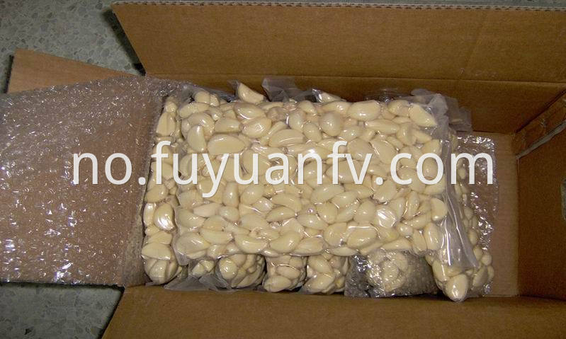 vacuum packed peeled fresh garlic 